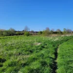 Les pâtures du pac Bonte de Lambersart